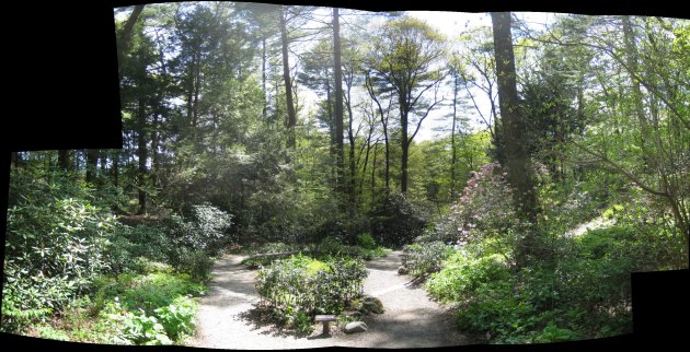 gardeninthewoods_small.jpg